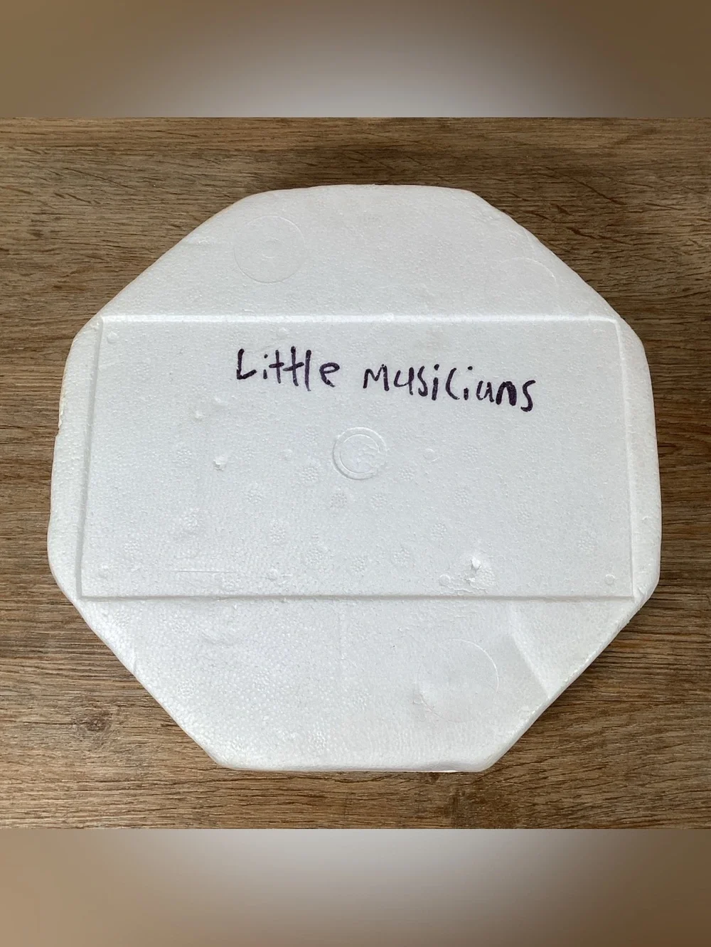 M.I. Hummel 1990 “Little Musicians”, Little Companions Plate Danbury Mint #Q9971
